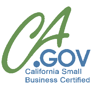 CA Government